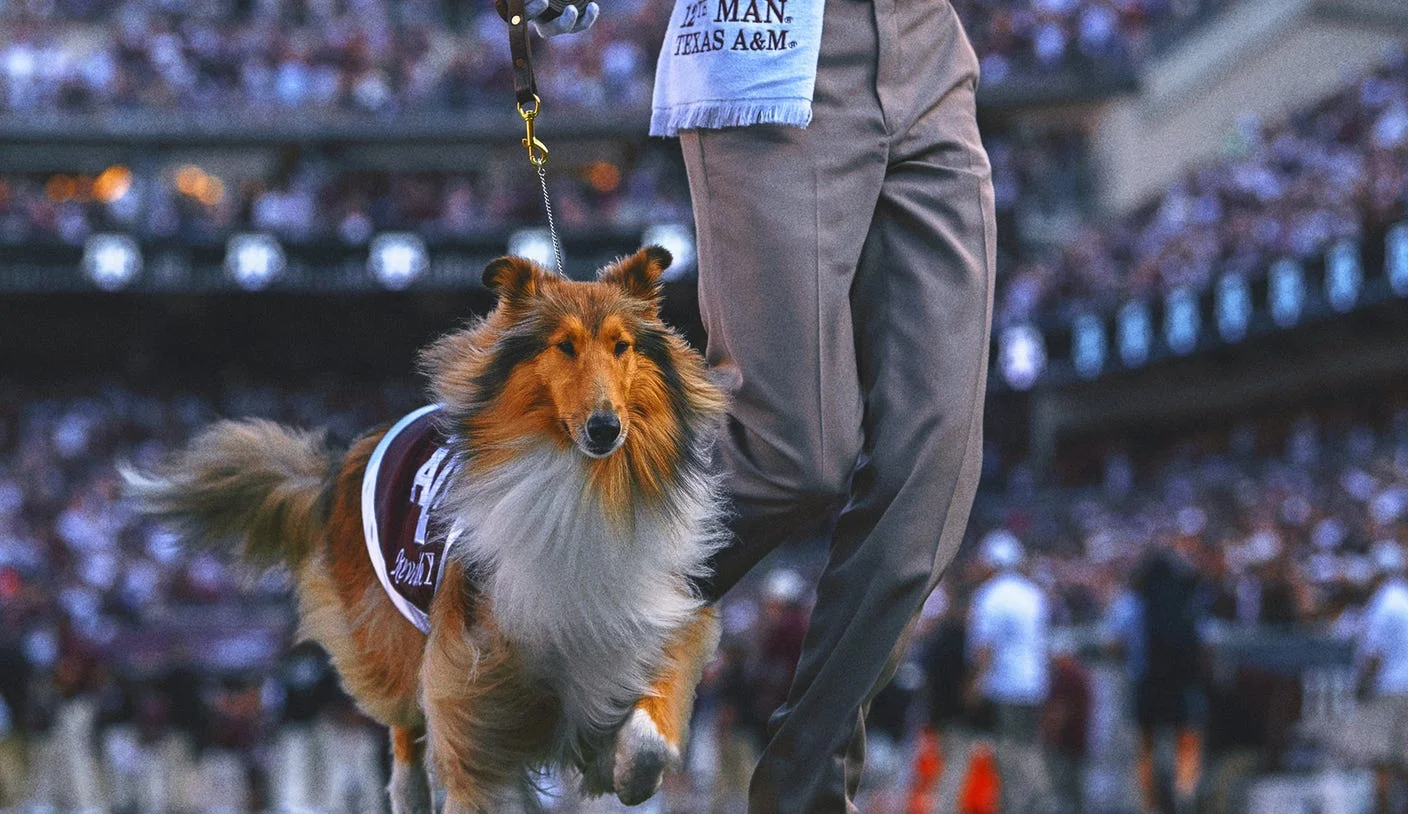 Texas A&M’s Collie Mascot Reveille X Has Eye Removed After Glaucoma Diagnosis Texas A&M's Collie Mascot Reveille X Has Eye Removed After Glaucoma Diagnosis